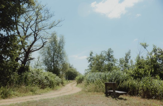 Natuurgebied Den Haert (vergroot foto)
