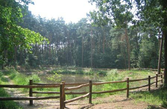 Visbeekvallei (vergroot foto)